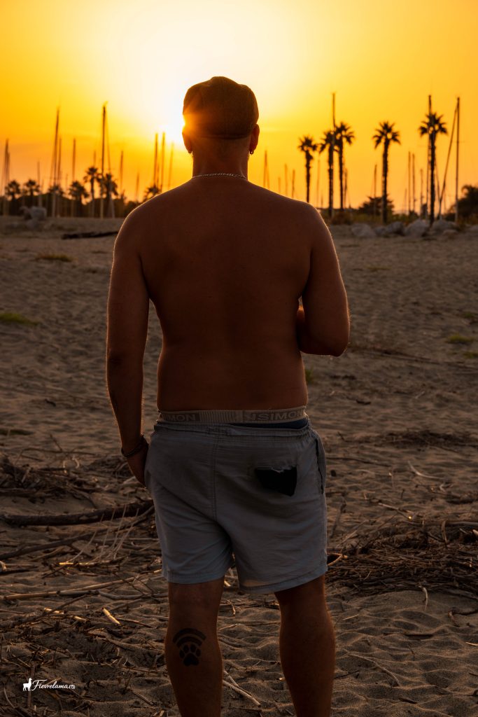 Homme de dos face à un coucher de soleil orange, palmiers en silhouette