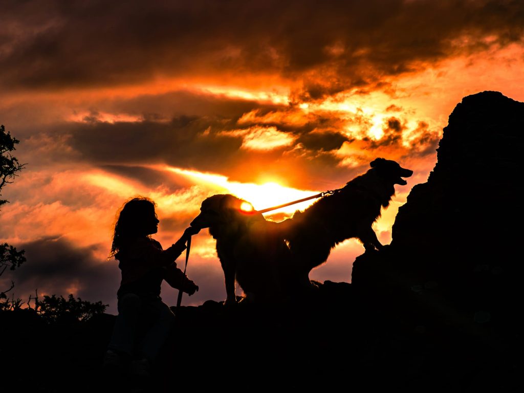 Silhouette romantique d’un couple au coucher du soleil dans les Pyrénées-Orientales