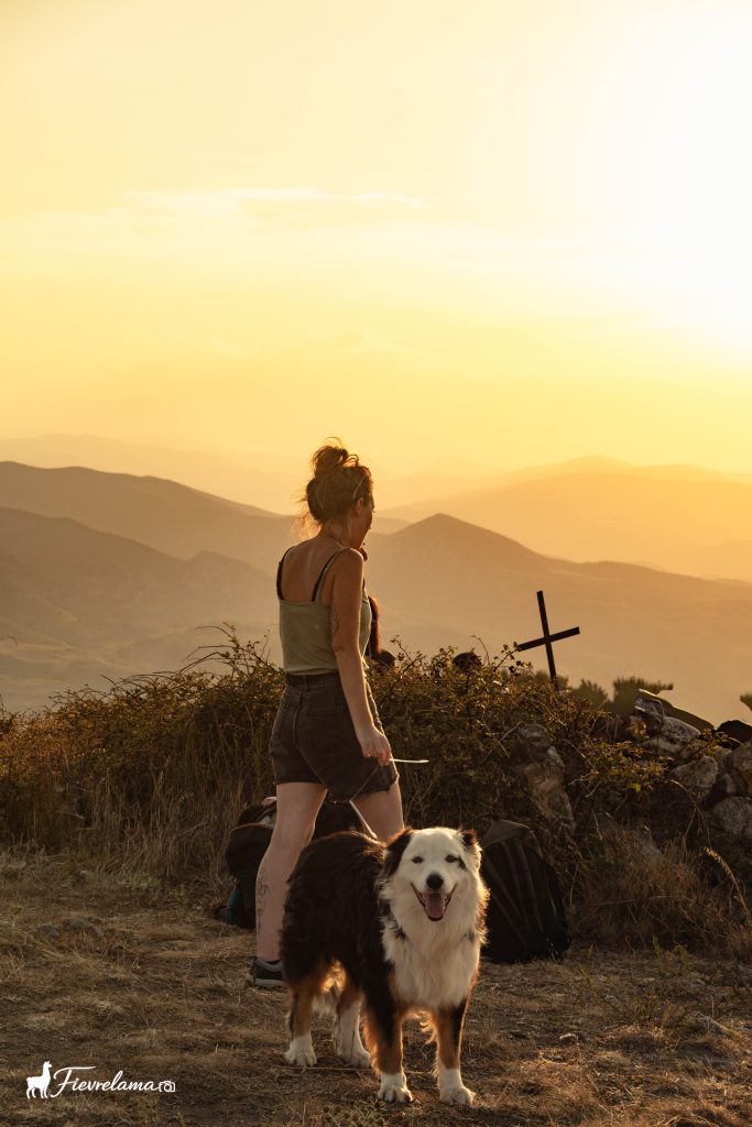 Femme debout près d'une croix de sommet avec son chien, au coucher de soleil sur les montagnes