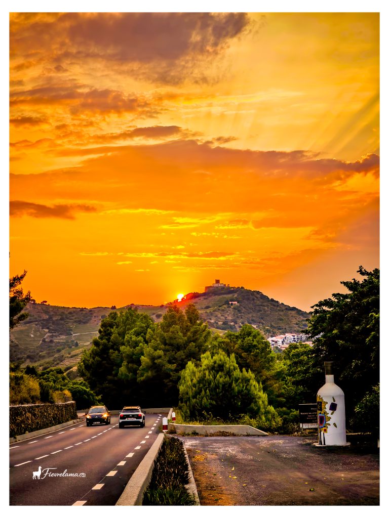 Ciel orange au coucher du soleil au-dessus d'une route bordée d'arbres et de collines