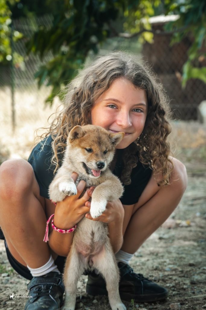Une personne souriante tenant un chiot Shiba Inu en extérieur